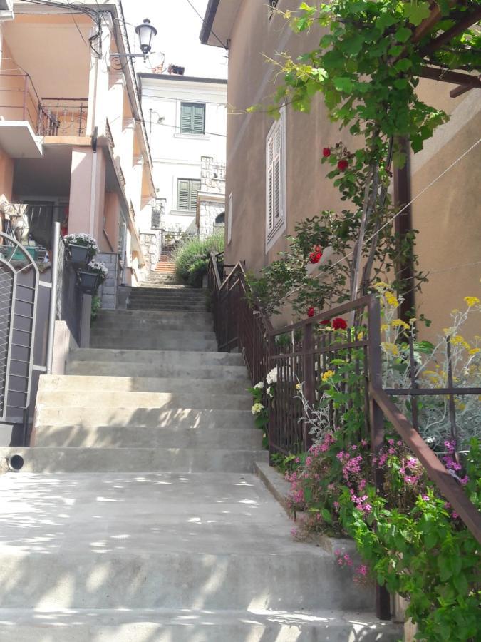 Padelica Moscenicka Draga
